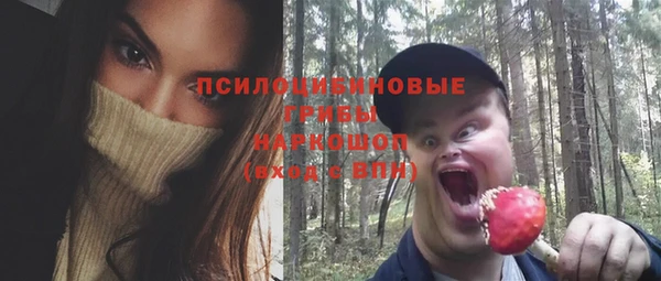 гашик Балабаново