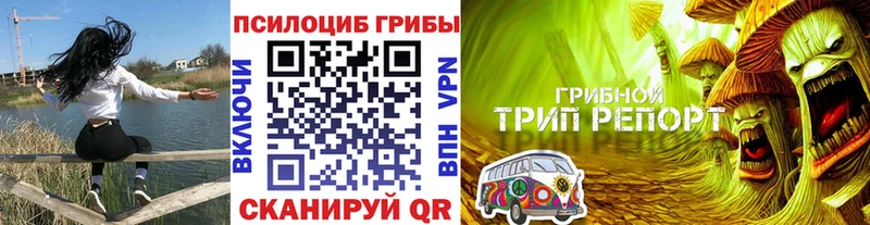 MEGA ТОР  Переславль-Залесский  Галлюциногенные грибы Cubensis 